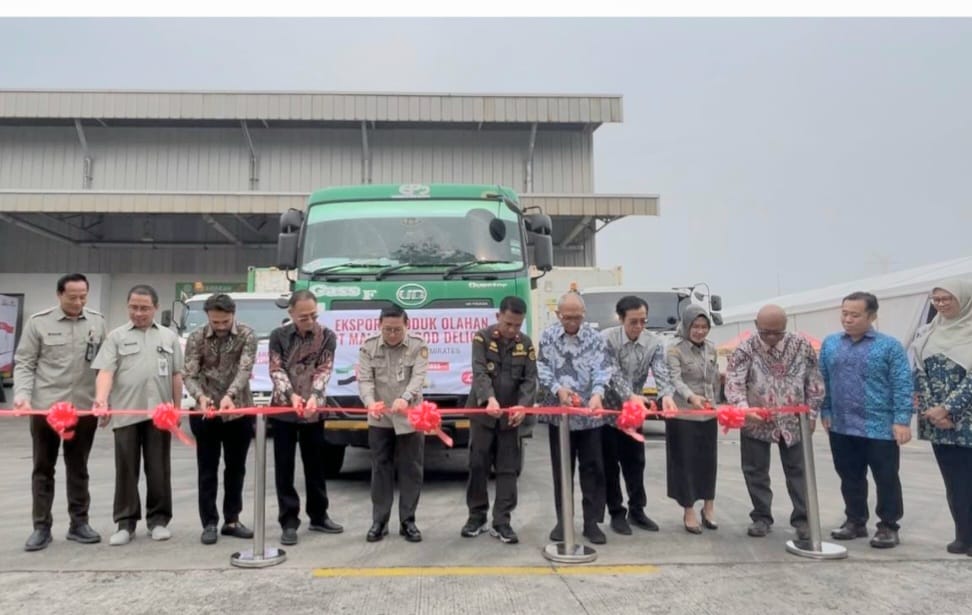 Kembali Tembus Pasar Dunia, Kementan Lepas 40 Ton Produk Ayam Olahan ke Timur Tengah dan Asia